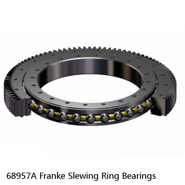 68957A Franke Slewing Ring Bearings