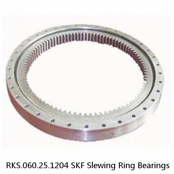 RKS.060.25.1204 SKF Slewing Ring Bearings