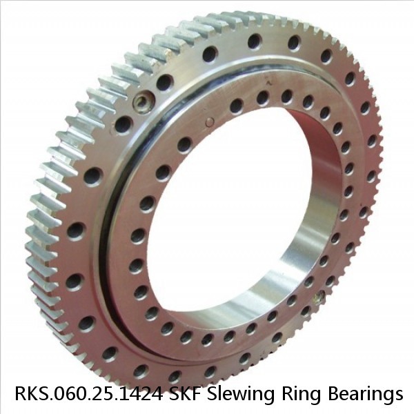 RKS.060.25.1424 SKF Slewing Ring Bearings