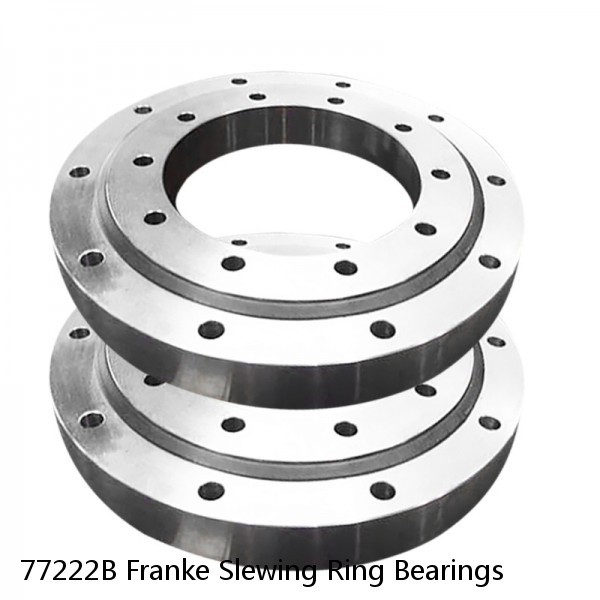 77222B Franke Slewing Ring Bearings