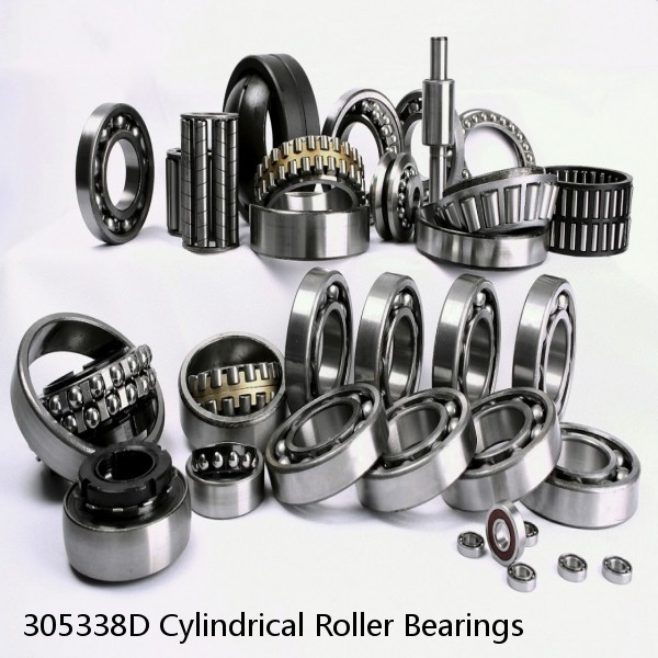 305338D Cylindrical Roller Bearings