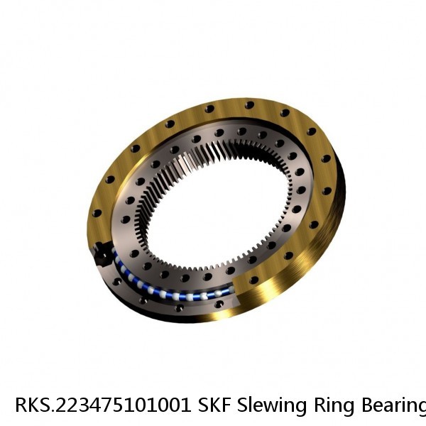 RKS.223475101001 SKF Slewing Ring Bearings