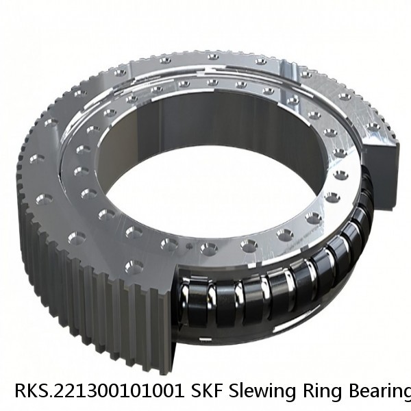 RKS.221300101001 SKF Slewing Ring Bearings