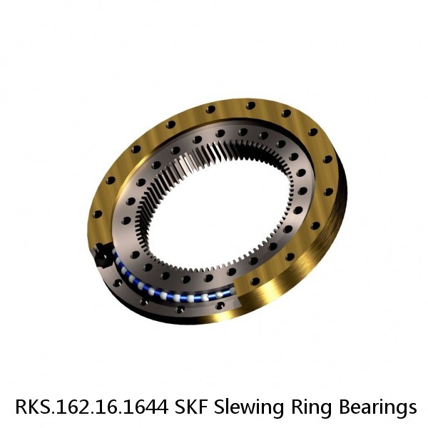 RKS.162.16.1644 SKF Slewing Ring Bearings