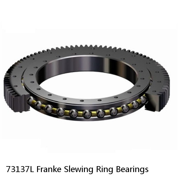 73137L Franke Slewing Ring Bearings