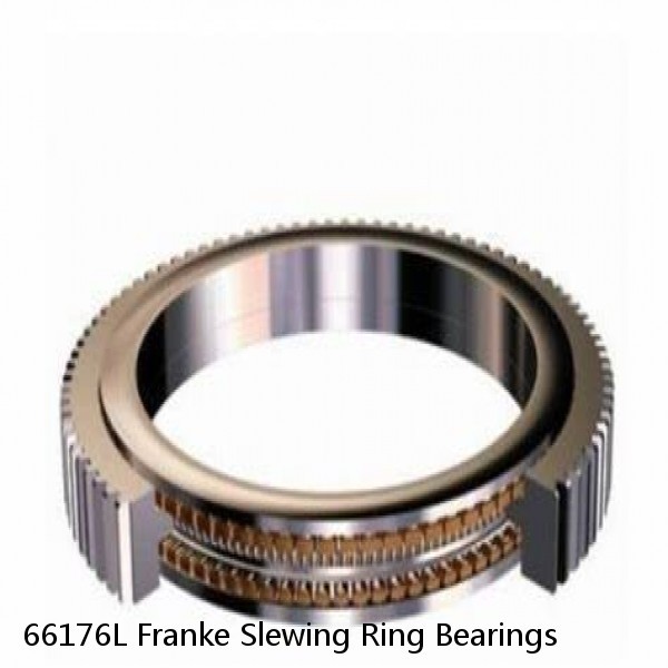 66176L Franke Slewing Ring Bearings