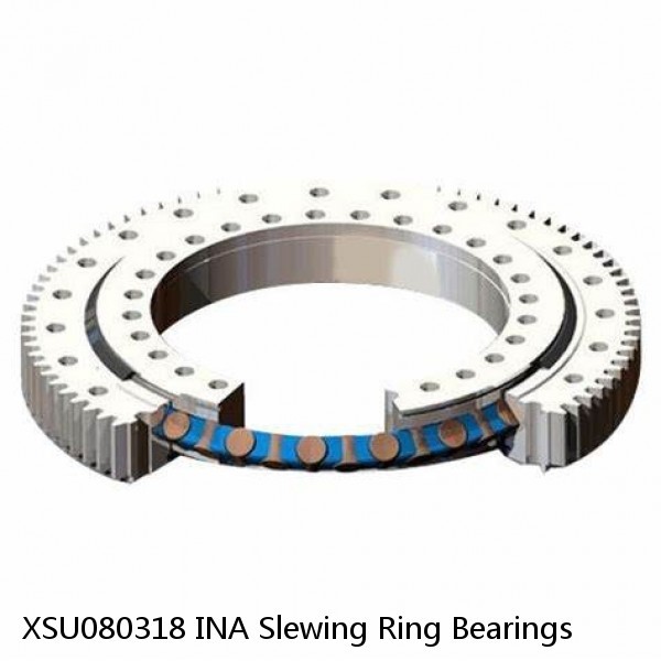 XSU080318 INA Slewing Ring Bearings