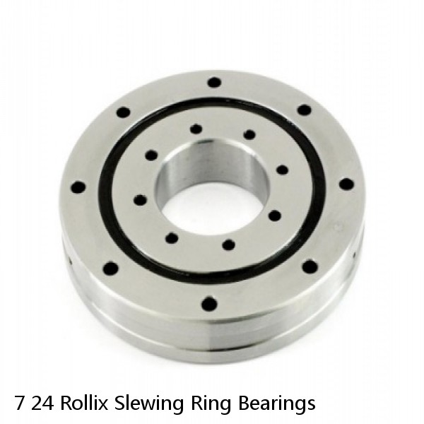 7 24 Rollix Slewing Ring Bearings