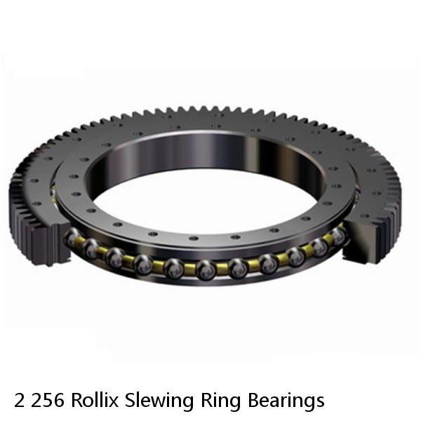 2 256 Rollix Slewing Ring Bearings