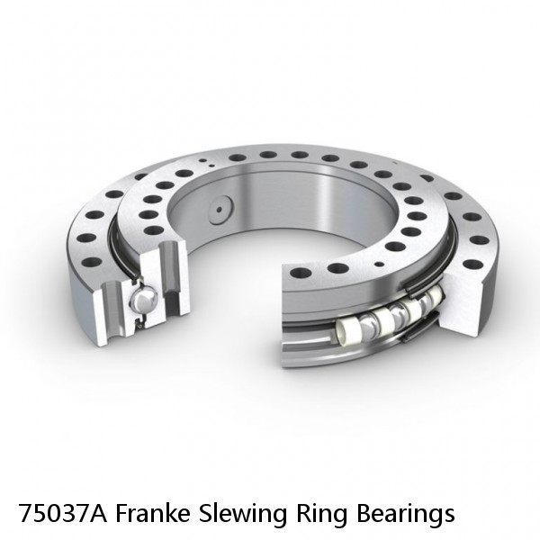 75037A Franke Slewing Ring Bearings