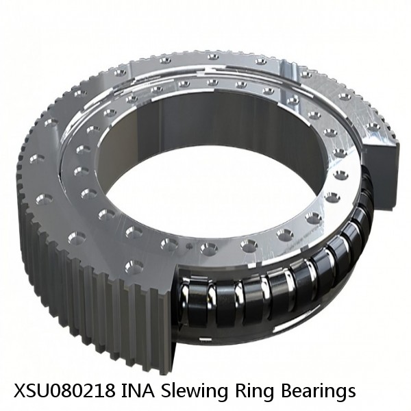 XSU080218 INA Slewing Ring Bearings