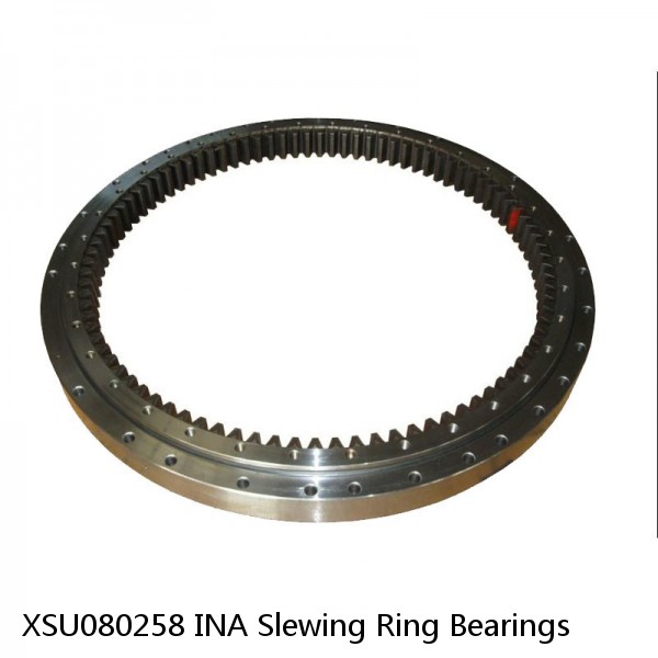 XSU080258 INA Slewing Ring Bearings