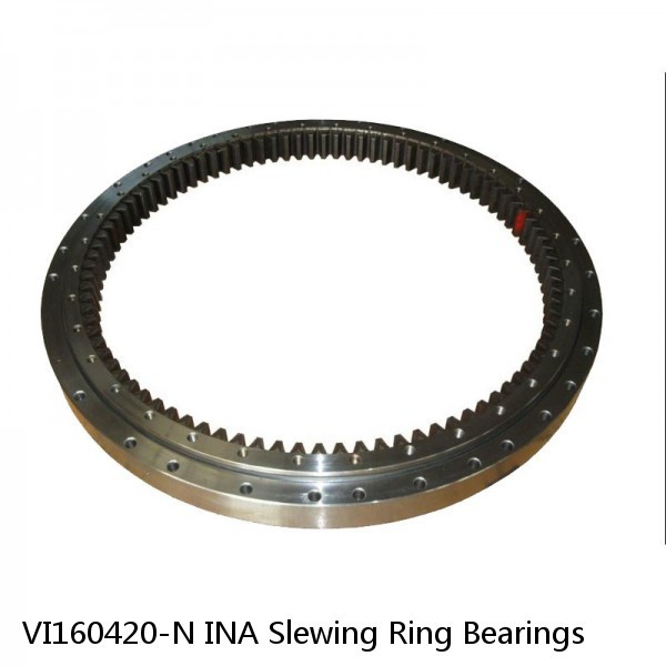 VI160420-N INA Slewing Ring Bearings