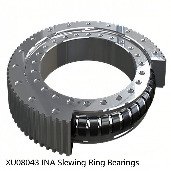 XU08043 INA Slewing Ring Bearings