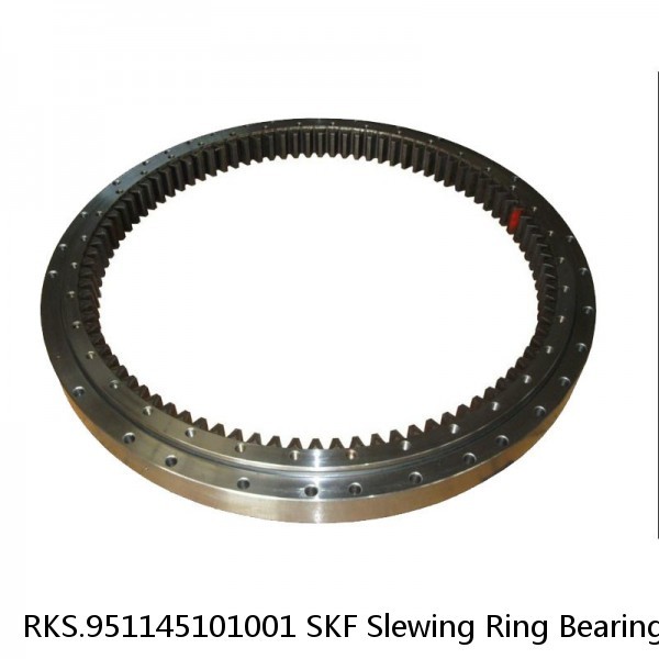 RKS.951145101001 SKF Slewing Ring Bearings