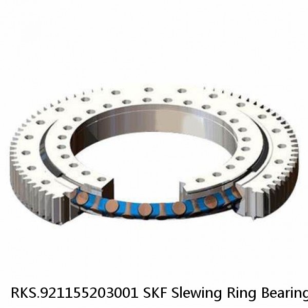 RKS.921155203001 SKF Slewing Ring Bearings