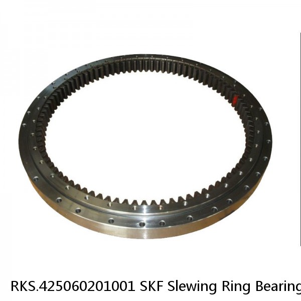 RKS.425060201001 SKF Slewing Ring Bearings