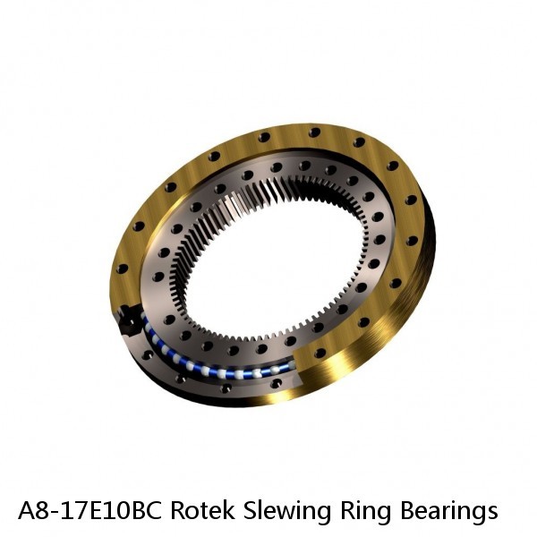 A8-17E10BC Rotek Slewing Ring Bearings