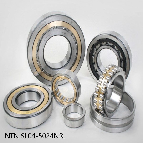 SL04-5024NR NTN Cylindrical Roller Bearing