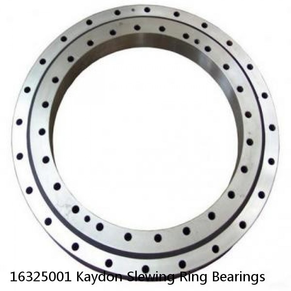 16325001 Kaydon Slewing Ring Bearings